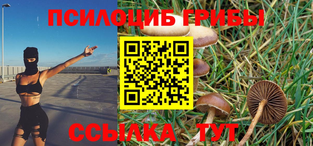 Ипатово  Галлюциногенные грибы GOLDEN TEACHER  Вход с VPN  Псилоцибиновые грибы Psilocybe 