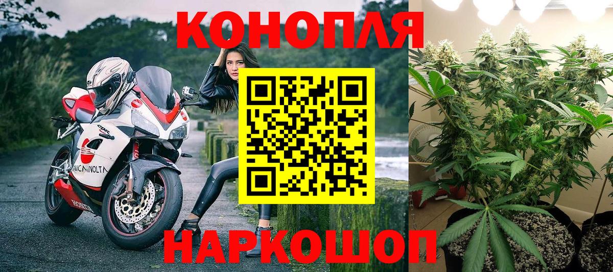 Ипатово  Шишки марихуана сатива  Марихуана планчик  Бошки Шишки марихуана  Вход с VPN 